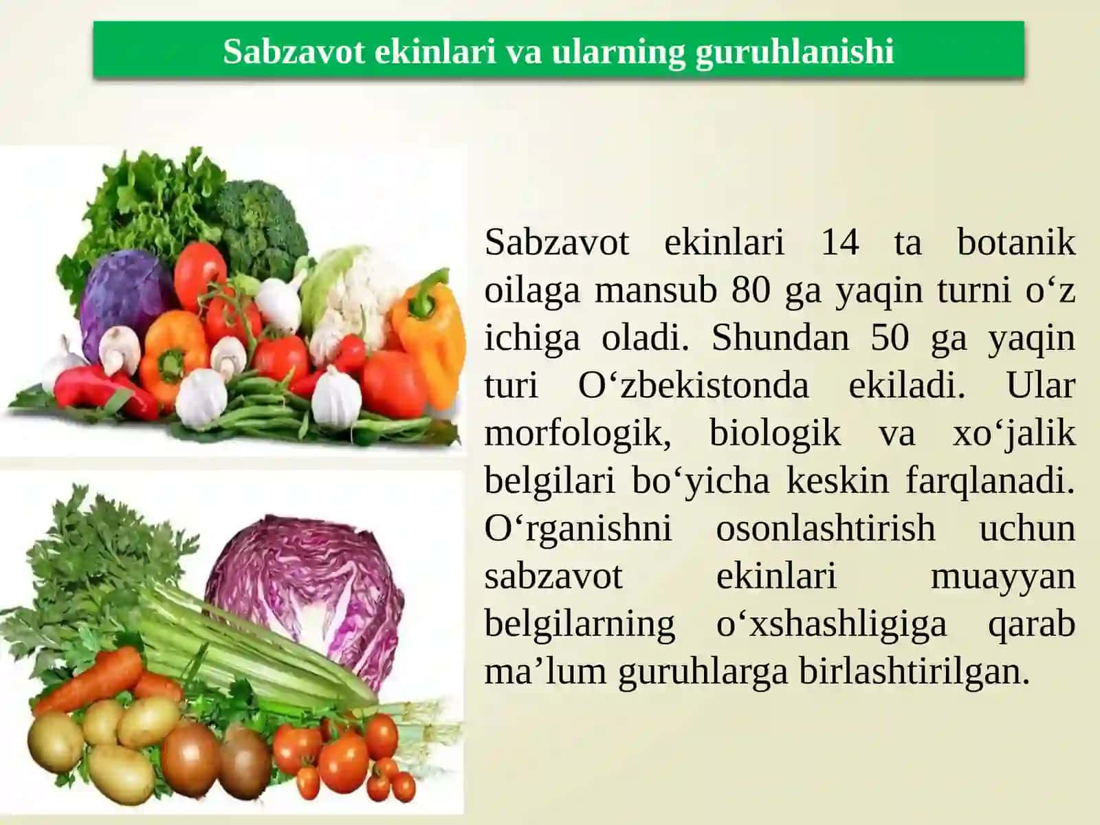 Sabzavot ekinlarini Turli muddatlarda yetishtrishdaqo'llaniladigan navlari xususiyatlari 4