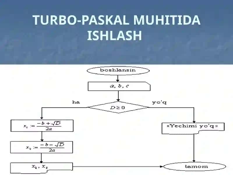 Turbo Paskal Professional 4