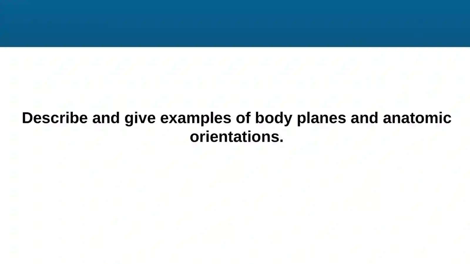 Musculoskeletal Anatomy: Foundations and Frameworks 4