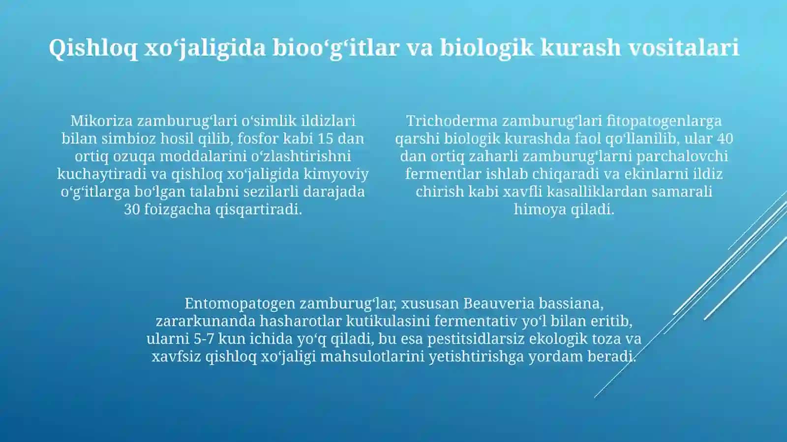 Zamburuğlarning sanoatda va qishloq xòjaligidagi ahamiyati 4