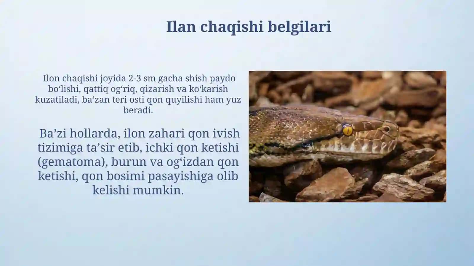 O'zbekistonning zaharli ilonlari, ularning tarqalishi va ahamiyati 4