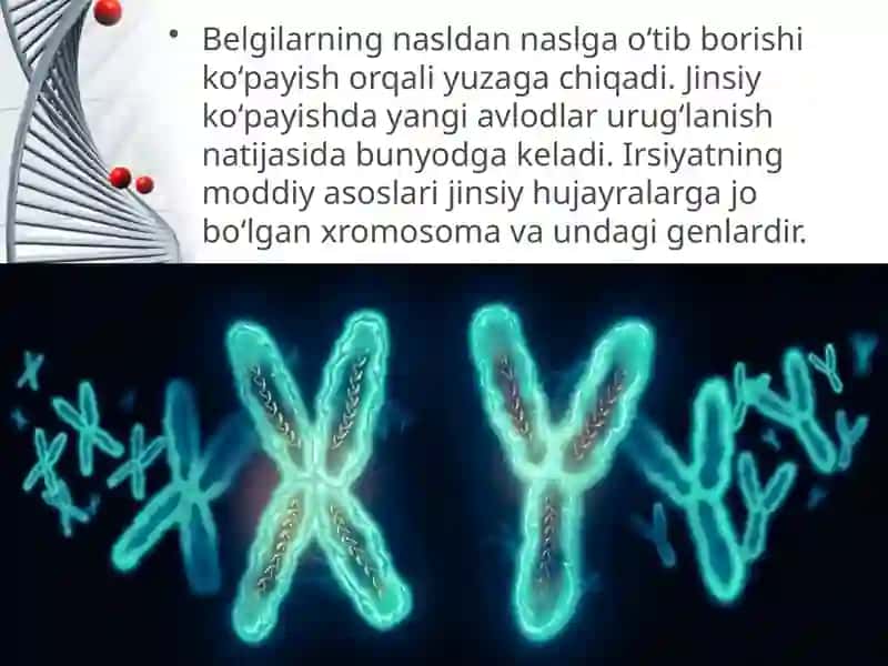 Irsiyatning molekulyar asoslari 4