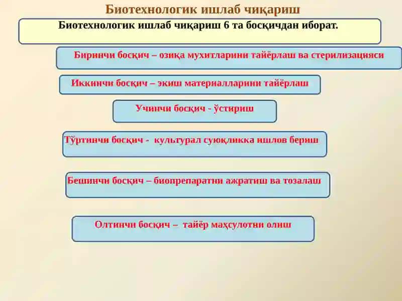 Биотехнология Саноатида Қўлланиладиган Жараёнлар ва Қурилмалар 4