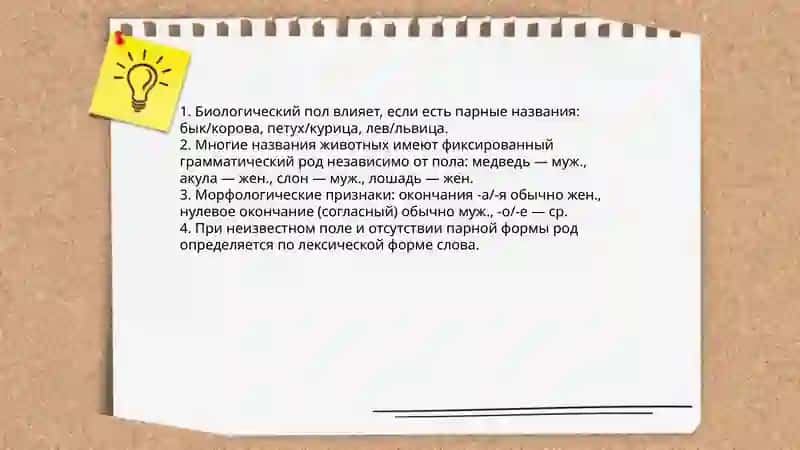 Определение рода имен существительных по значению и окончанию 4