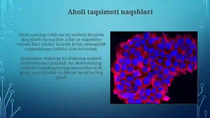 Afrika qit'asidagi aholi analizi 4