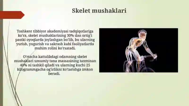 Tayanch-harakat apparati.Osteologiya va miologiya haqida ta'limot 4