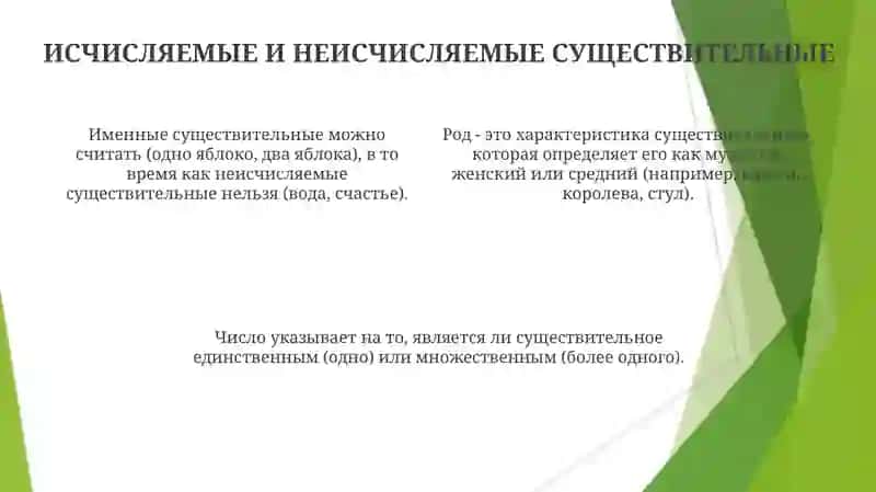 Категории рода и числа 4