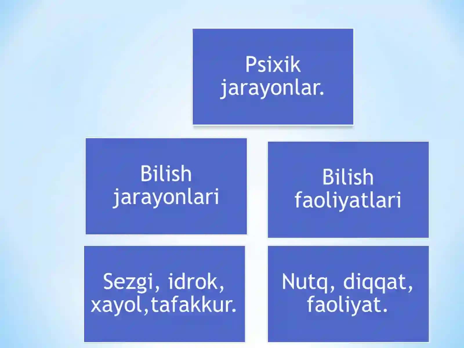 Bilish jarayonlari 4