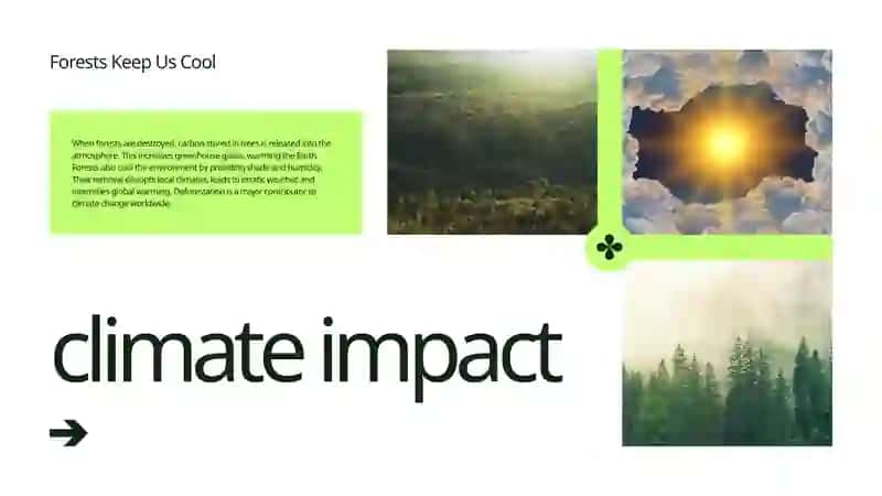Deforestation: A Threat to Our Future 4