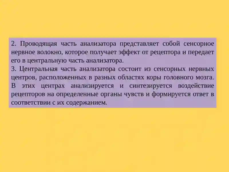 ВОЗРАСТНЫЕ ОСОБЕННОСТИ АНАЛИЗАТОРОВ И ЭНДОКРИННОЙ СИСТЕМЫ 4