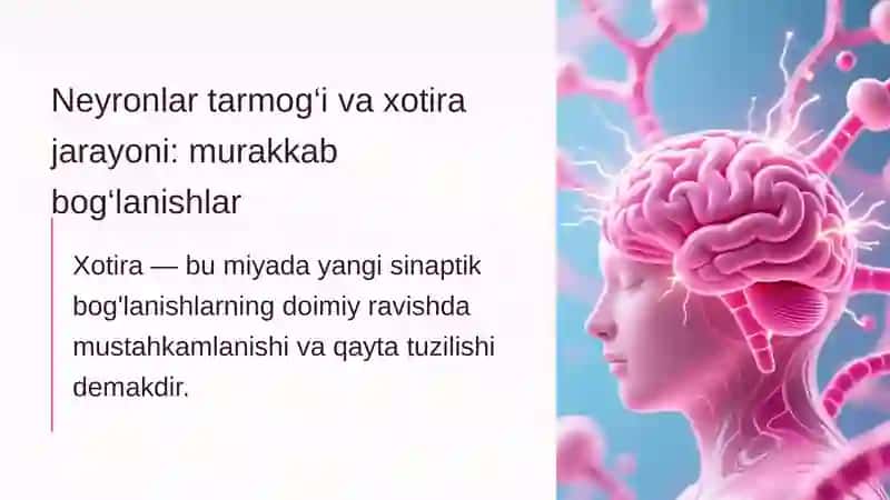 Xotira rivojining asosiy omillari va shart-sharoitlari 4