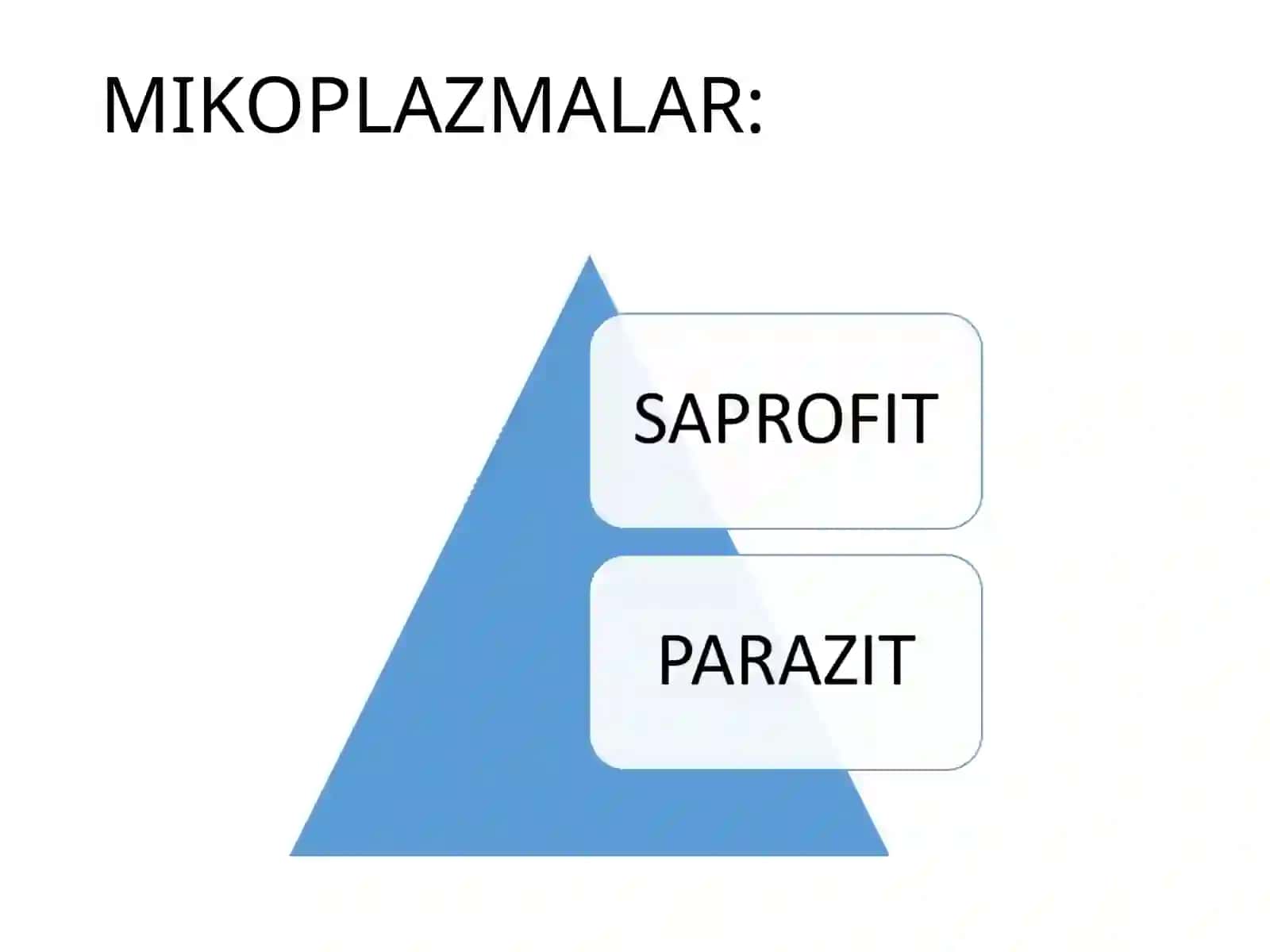 Sporoxetalarmikoplazmalarxlamidiyalarrikketsiyalaraktinomisetlalarzamburug‘larvamorfologikstruktura 4