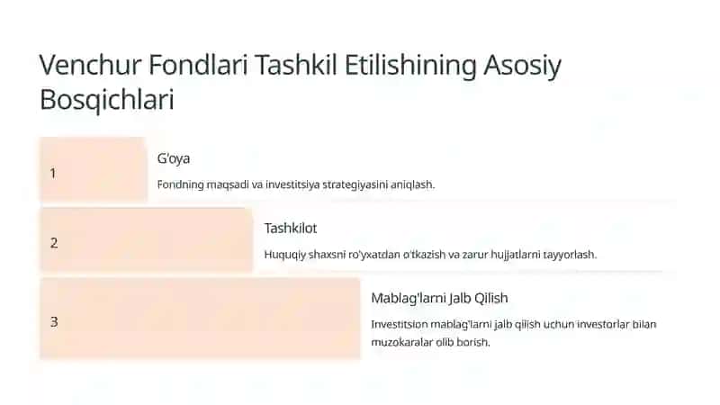 Venchur Fondlari: Tashkil Etilishi va Faoliyatini Boshqarish 4