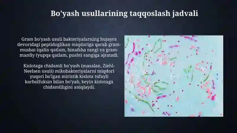 Mikroorganizmlarning strukturasi,murakkab bōyash usullari 4