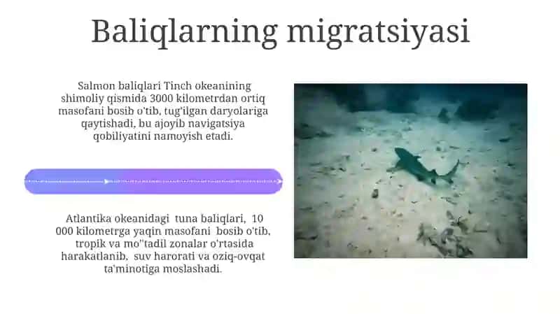 Dengiz o'simliklari 4
