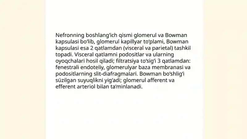 Buyrak anatomiyasi va pozitsiyasi 4