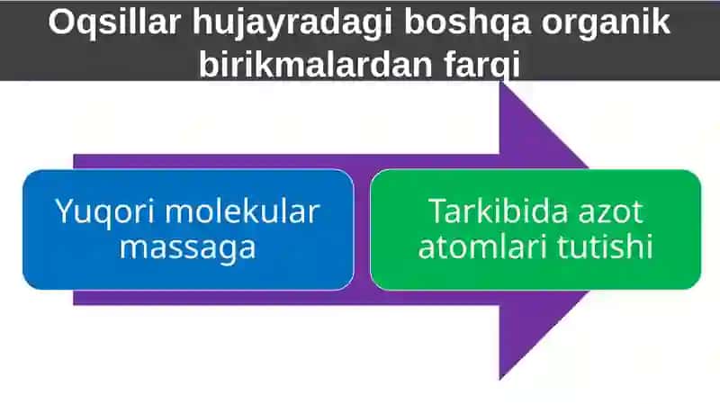 Oqsillar. Aminokislotalar 4