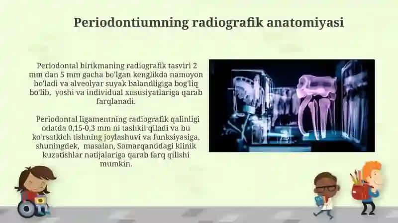 Tishlar ontogenezi. Rivojlanish nuqsonlari va rentgenanatomiyasi 4