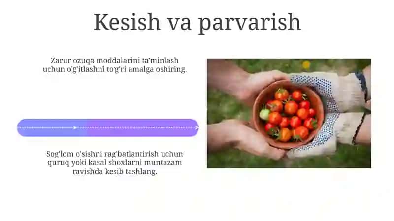 Tabiat burchagida o'simliklarni parvarish qilish 4