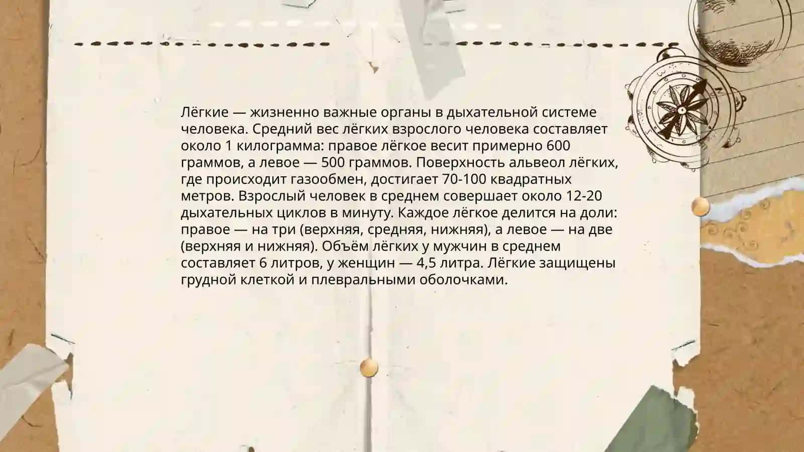 Сердце 4