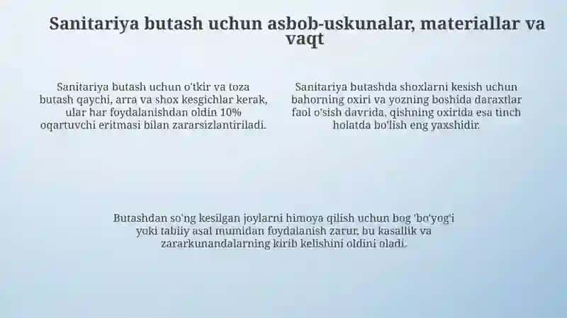 Sanitariya butash 4