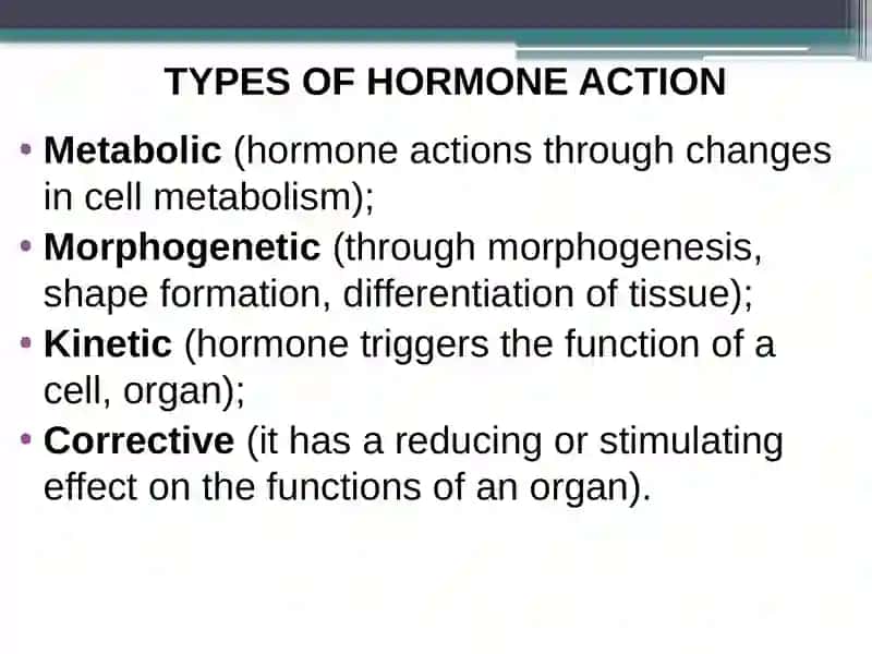 ENDOCRINE GLANDS 4