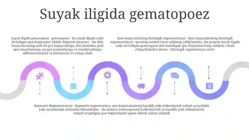 Qon Hujayralarining Fiziolagik Va Reperativ Regeneratsiyasi Mexanizimlari 4