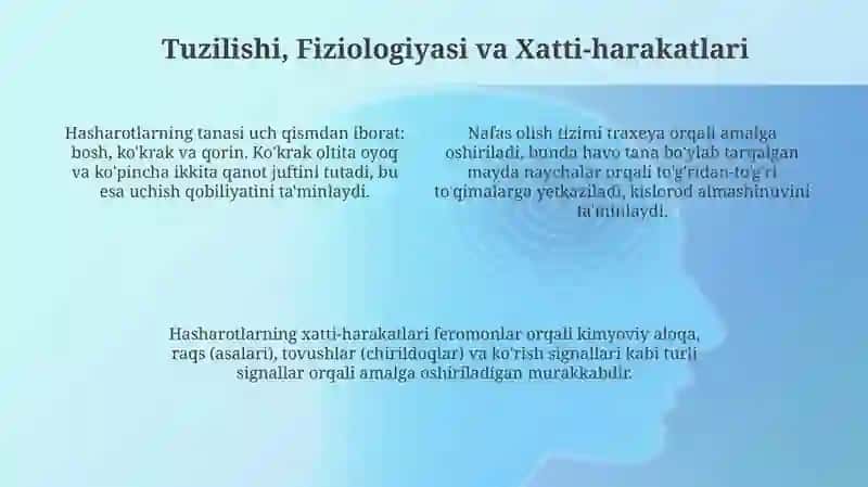 Hasharotlar: Ta'rif va Turlari 4