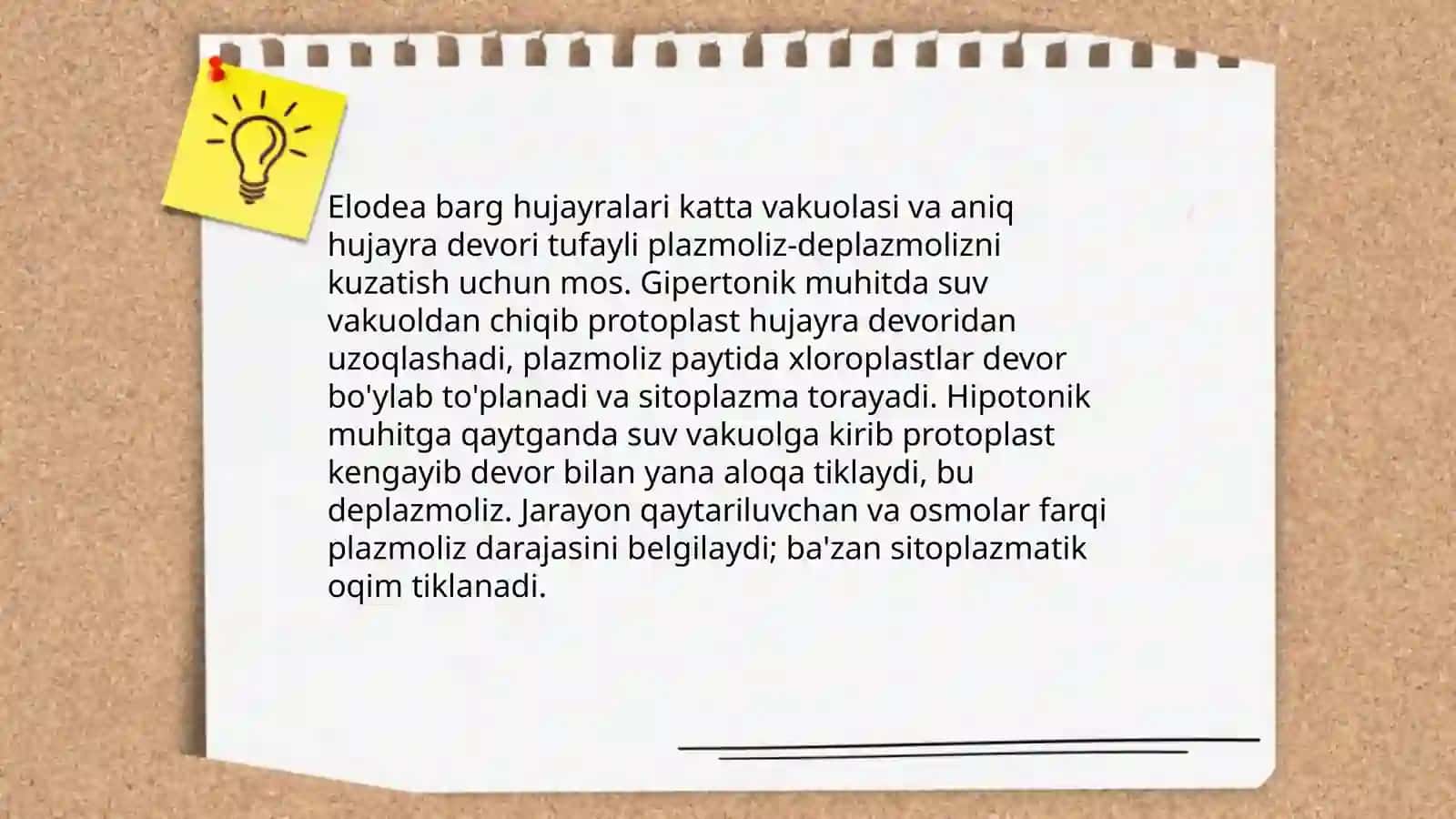 Plazmoliz va deplazmoliz hodisalarini turli oʻsimlik hujayralarida oʻrganish 4