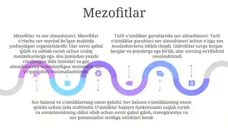 Turli Ekalogik Guruh Ósimliklarda Suv Almashinuvi 4