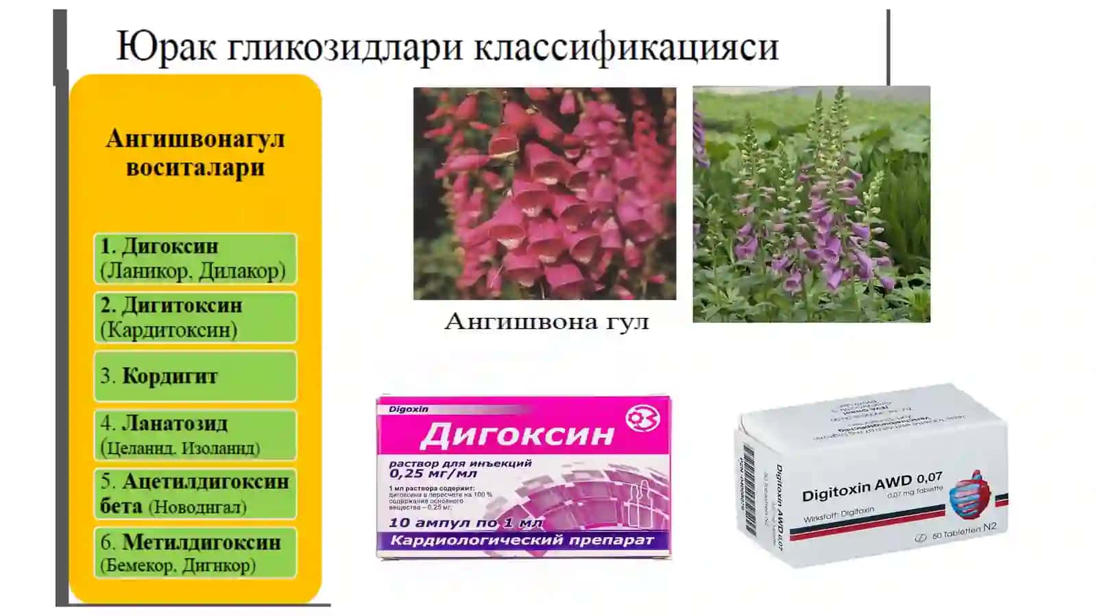 ЮРАК ГЛИКОЗИДЛАРИ 4