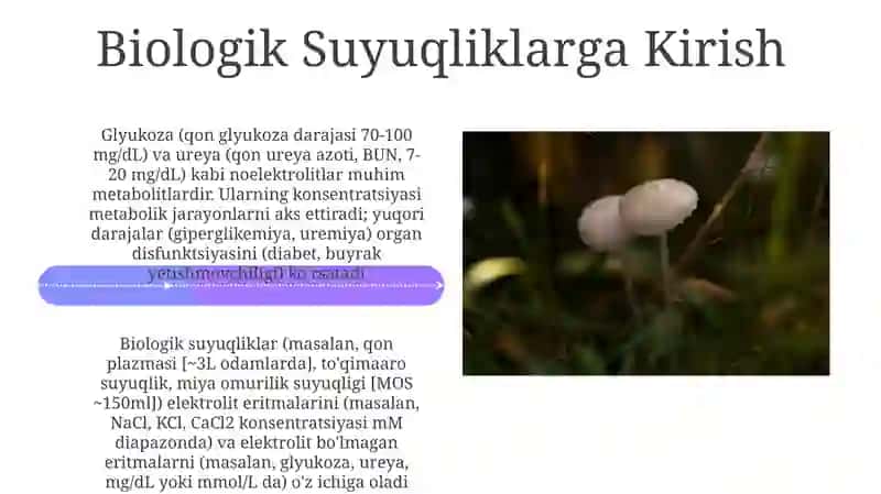 Biologik suyuqliklardagi elektrolitlar 4
