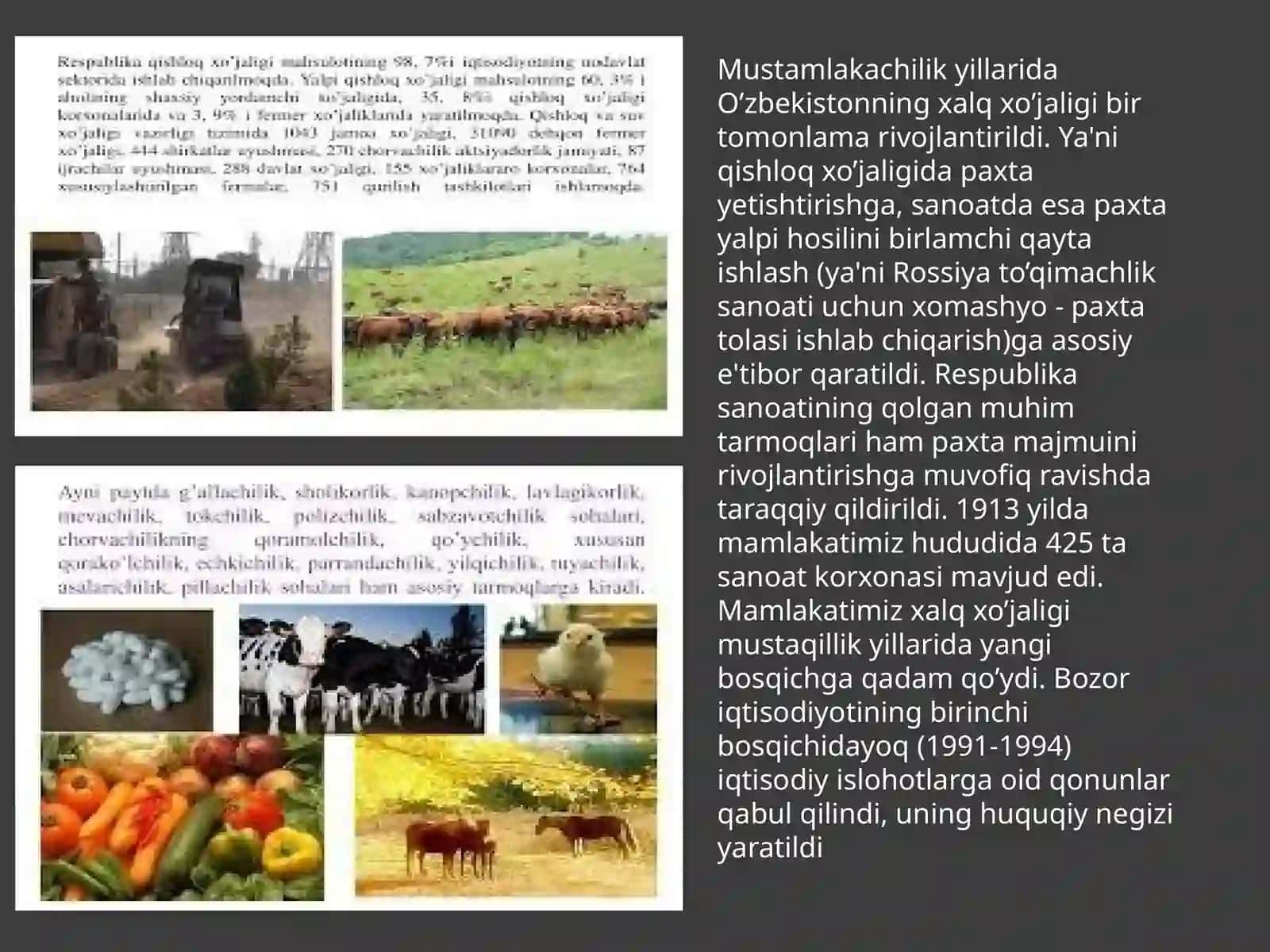 Qishloqxo'jaligi va sanoat sohasidagi o'zgarishlar 4