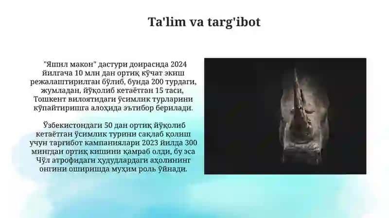 Dorivor oʻsiliklarni qayta tiklash va muxofaza qilish yoʻllari 4
