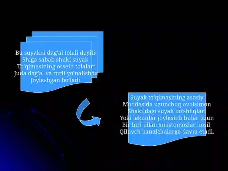 Suyak to’qimasi va muskul to’qimalari 4