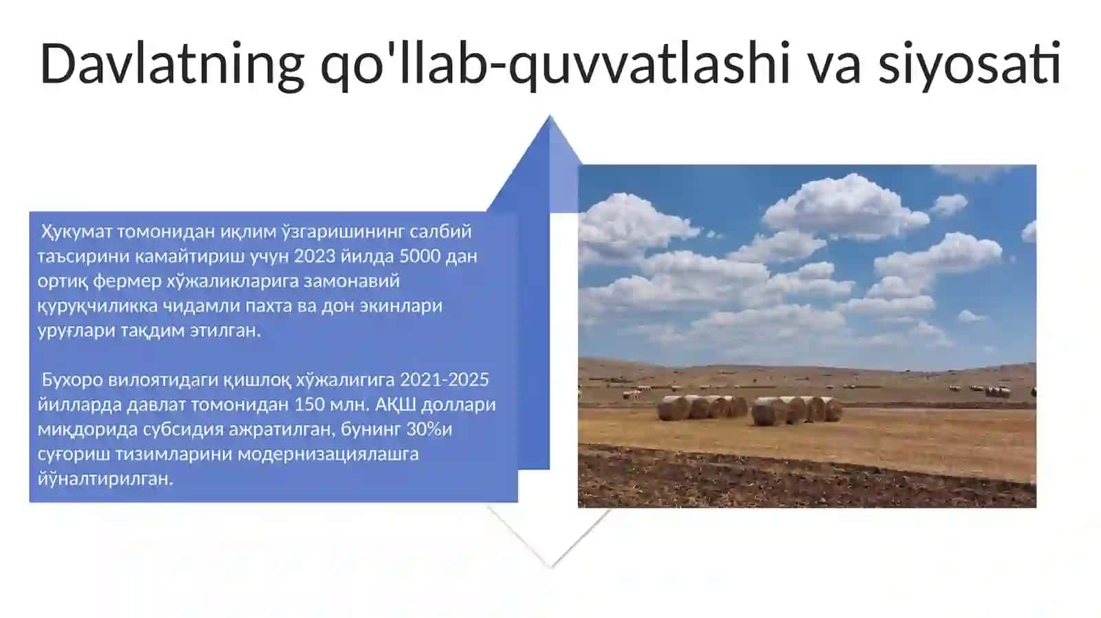 Iqlim oʻzgarishi Qishloq xoʻjaligiga ta'siri (Buxoro viloyati misolida) 4