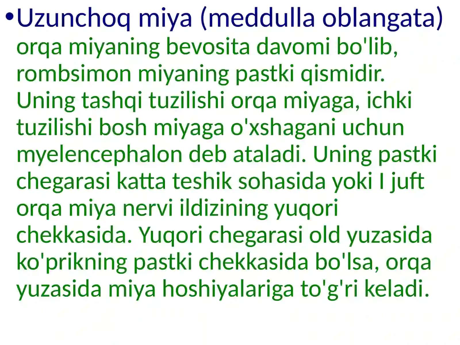 Uzunchoq miya. Varoliy koʻprigi. Miyacha. Bosh miyaning 4-qorinchasi 4