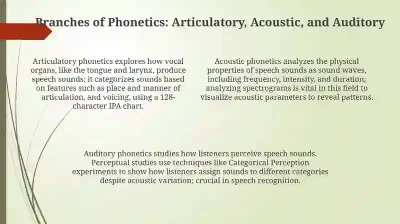 Phonetics: Foundations and Branches 4