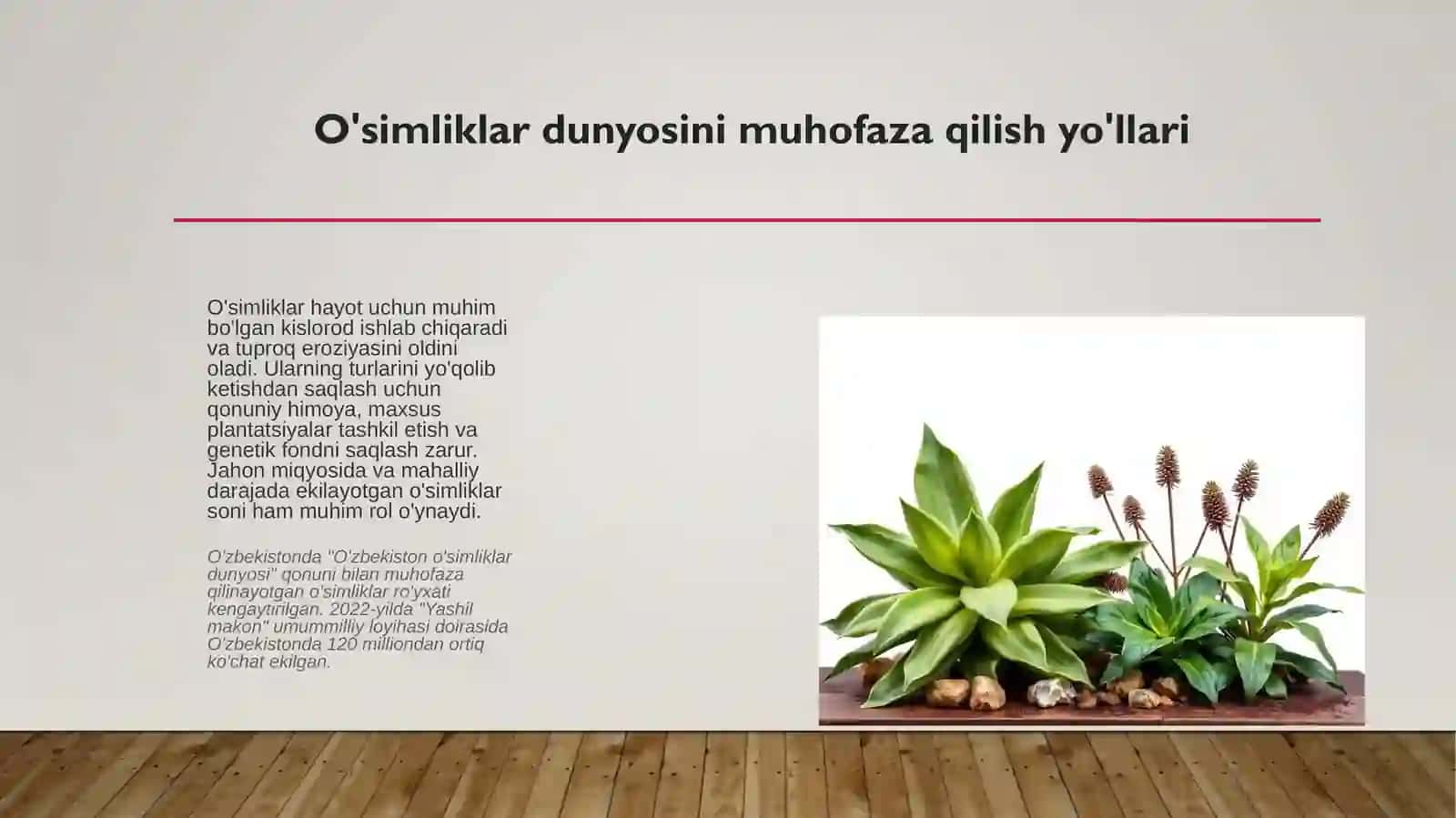 Ekologiya: Oʻsimlik va hayvonot dunyosini muhofaza qilish 4