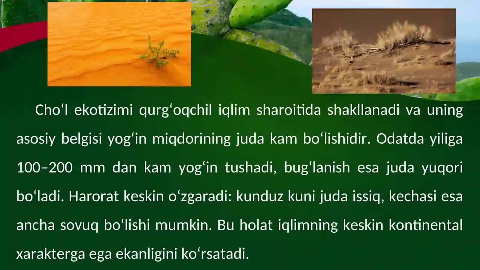 Cho‘l va tog‘ ekotizimlari haqida umumiy tushuncha va ularning o‘simlik qoplami xususiyatlari 4