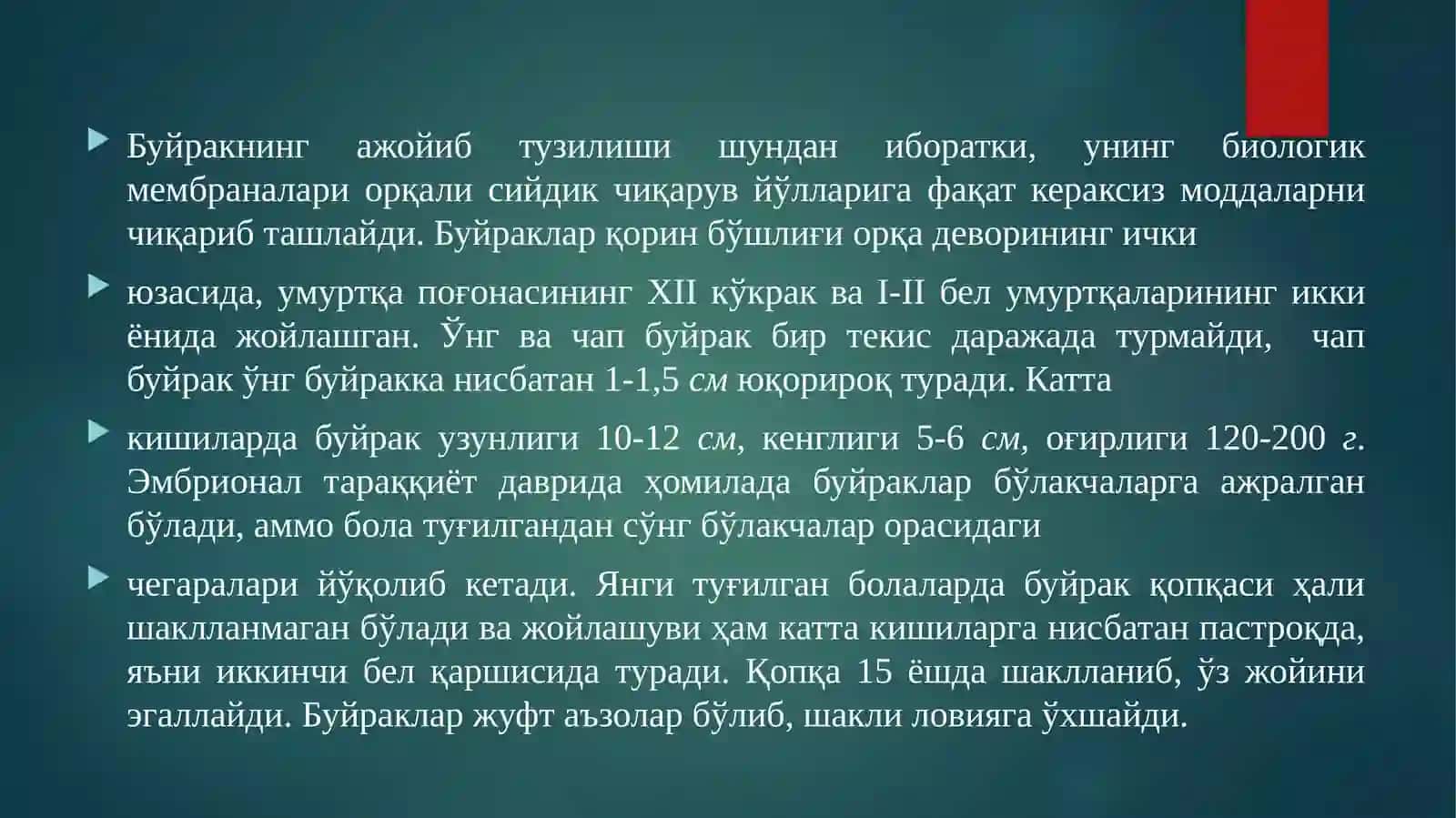 АЙИРУВ СИСТЕМАСИ ТУЗИЛИШИ ВА ФУНКЦИЯСИ 4