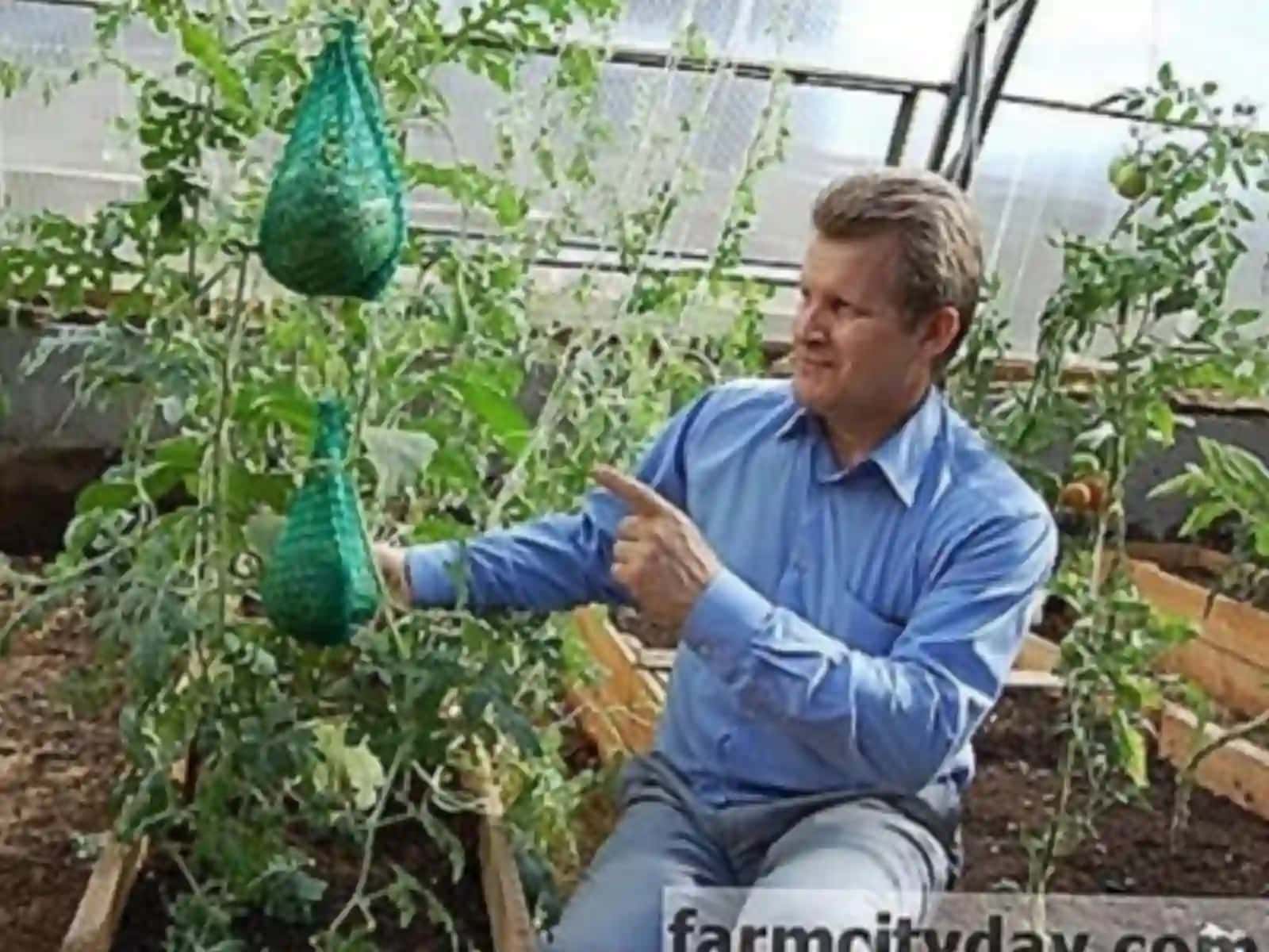 UrDUBioinjeneriyavaoziqovqatxavfsizlikfakulteti172-agronomiya yõnalishitalabasiMadrimovaSabohatninghimoyalanganjoysabzovotchilikfanidanqursishiprizintatsiyasi 4