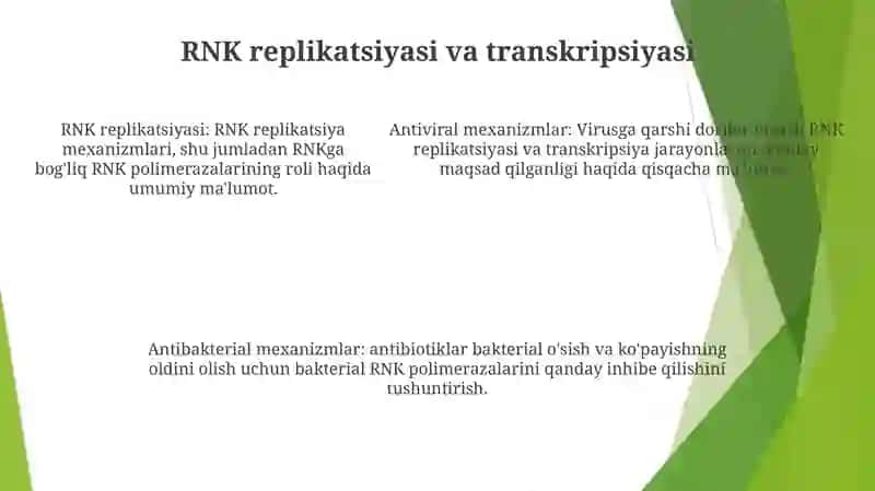 Viruslarga Va Ósmalarga Qarshi Dori Vositalarining Ta'Sir Mexanizmi Dnk Rnk Fermentlariga Nisbatan 4