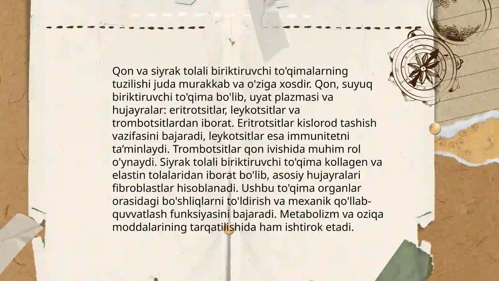 Qon va siyrak tolali biriktiruvchi to'qimalarning munosabati 4