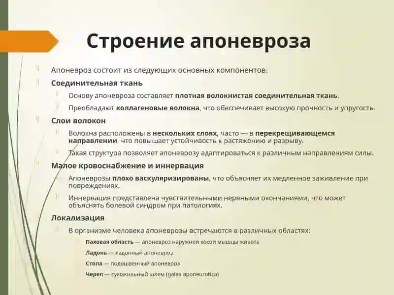 Патология апоневроз 4