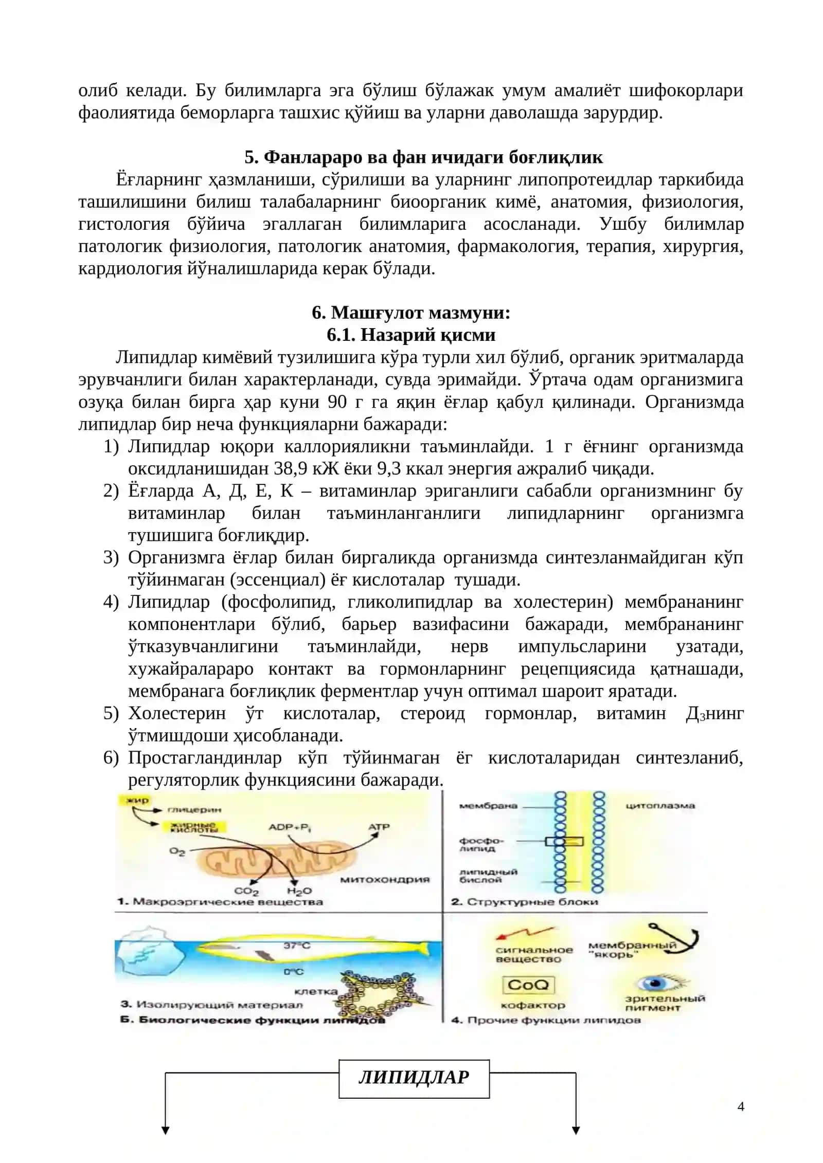 Липидлар алмашинуви ва вазифалари 4