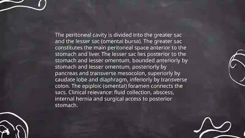 Abdominal cavity 4