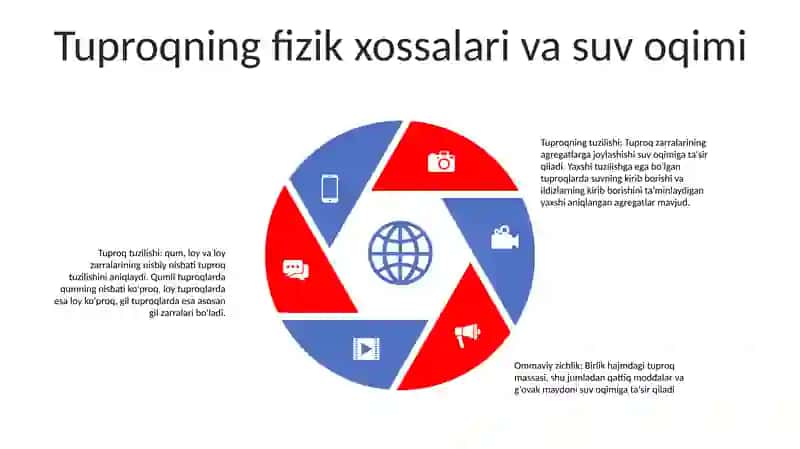 DagʻAl Bargli Doimiy Yashil Bargli Órmonlar Tuproqlari 4