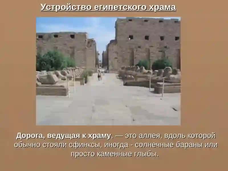 Новое царство 4