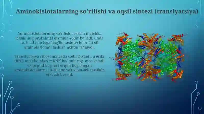 Oqsilning biokimyoviy ozgarishi 4
